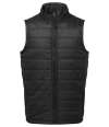 PR811 Premier Recyclight® Padded Gilet Black colour image